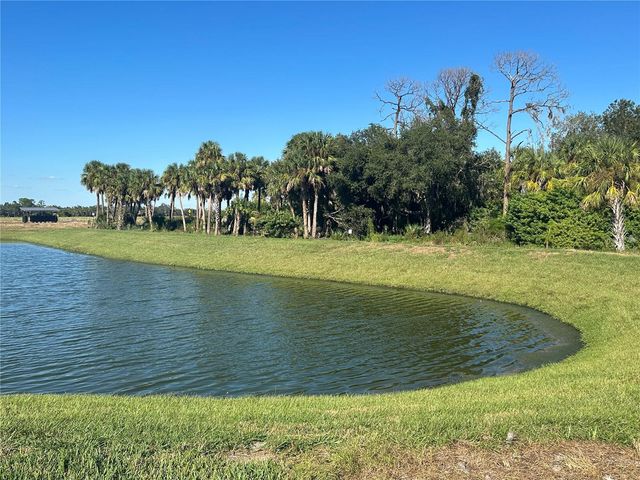 10167 HIDDEN HAMMOCK LOOP, Parrish, FL 34219