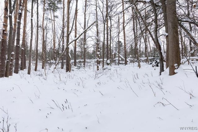 60 Byeberry Court, Aurora, NY 14052