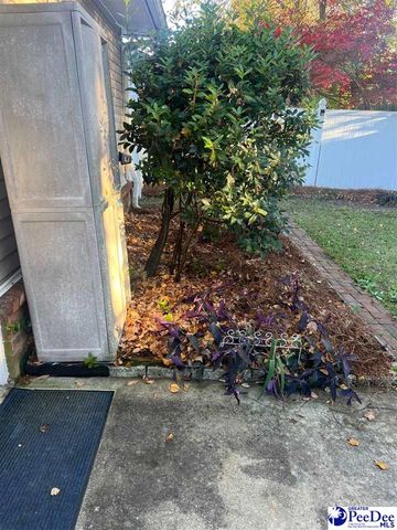 1717 Oakdale Terrace Apt A, Florence, SC 29501