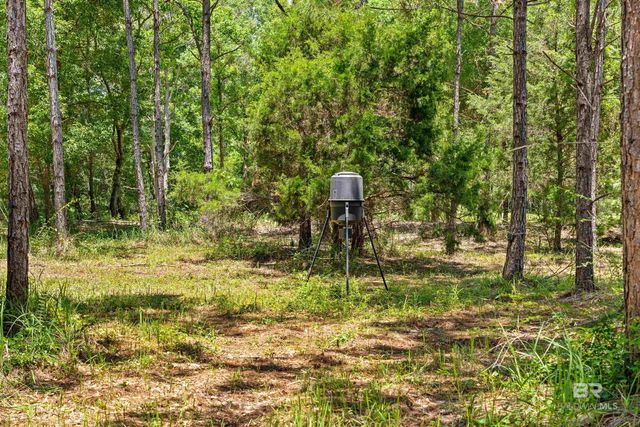 1609 Makaira Drive, Foley, AL 36535