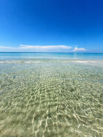 540 NEPTUNE AVENUE 7, Longboat Key, FL 34228
