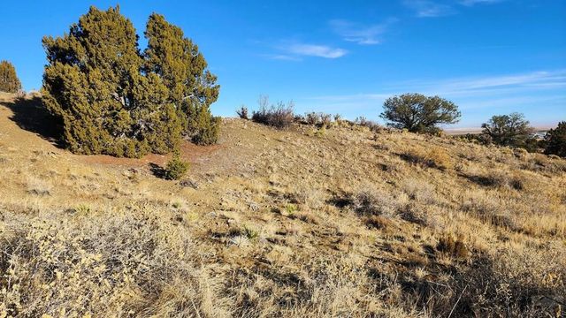 TBD No Site Address, Walsenburg, CO 81089