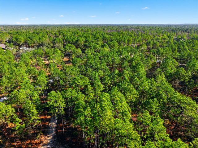 RASCHKE RUN, Weeki Wachee, FL 34614