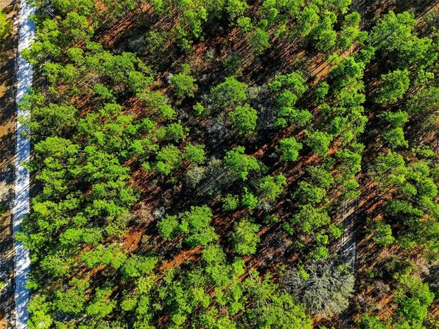 RASCHKE RUN, Weeki Wachee, FL 34614