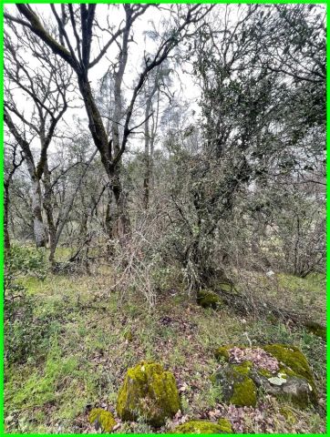 15652 Highland, Clearlake, CA 95422