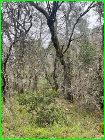 15652 Highland, Clearlake, CA 95422