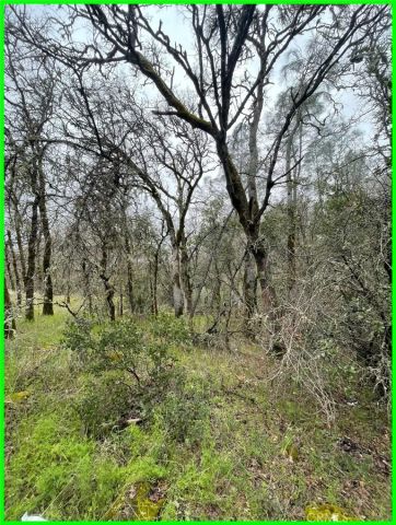 15652 Highland, Clearlake, CA 95422