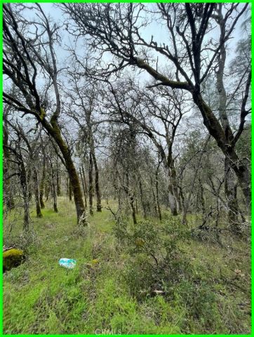 15652 Highland, Clearlake, CA 95422