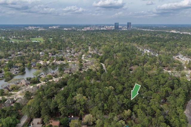 70 Cokeberry Court, The Woodlands, TX 77380