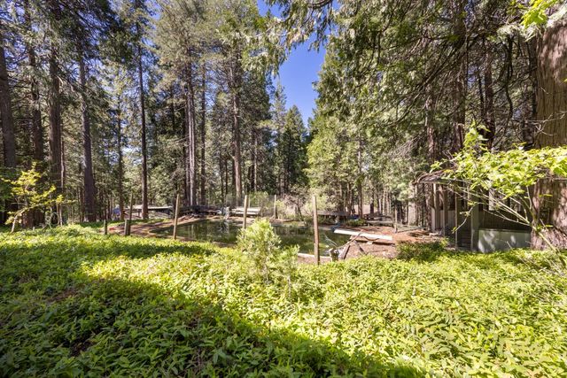 2070 King Of The Mountain Rd, Pollock Pines, CA 95726