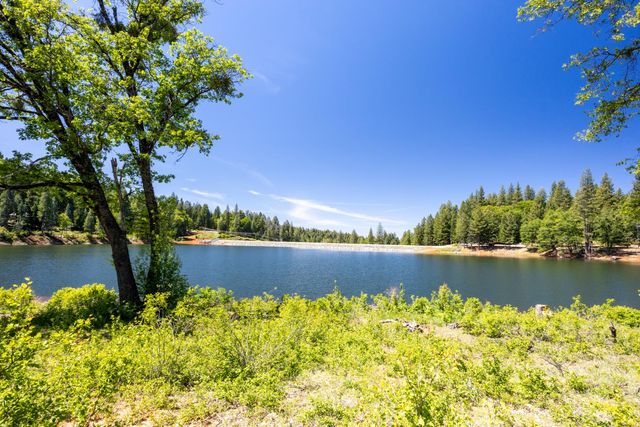 2070 King Of The Mountain Rd, Pollock Pines, CA 95726