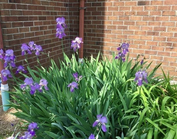 15 Davis Rd B11, Acton, MA 01720