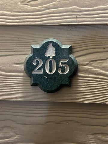 316 SOUTHERN PECAN CIRCLE 205, Winter Garden, FL 34787