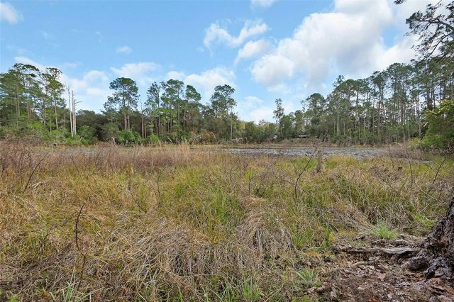 43746 SUNSET DRIVE, Paisley, FL 32767