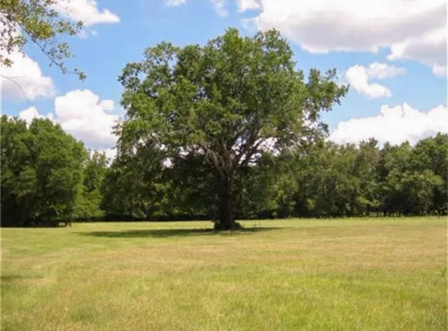 8608 North Fm 2022, Grapeland, TX 75844