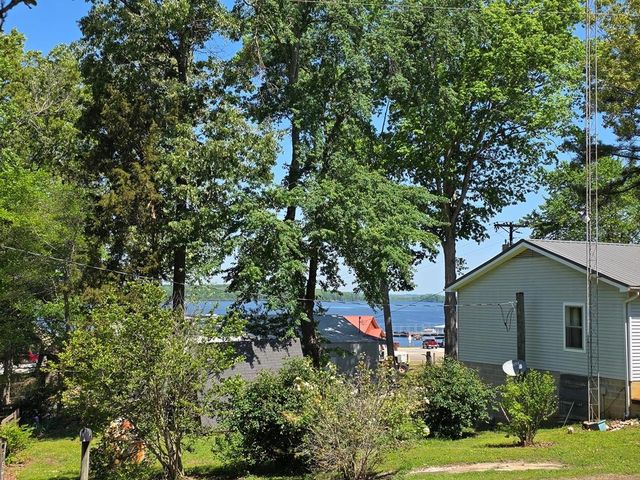 230 Jones Loop, Springville, TN 38256