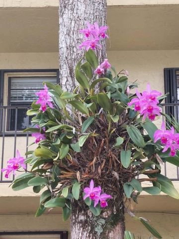 367 S Federal Highway B105, Deerfield Beach, FL 33441