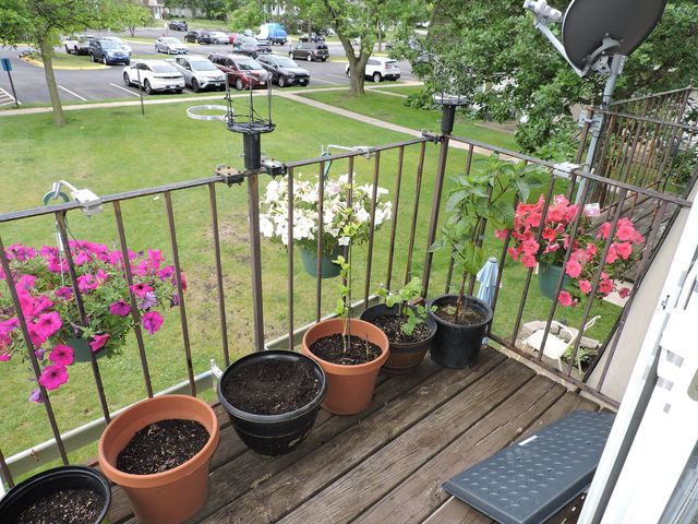 2216 Andover Court, Schaumburg, IL 60194