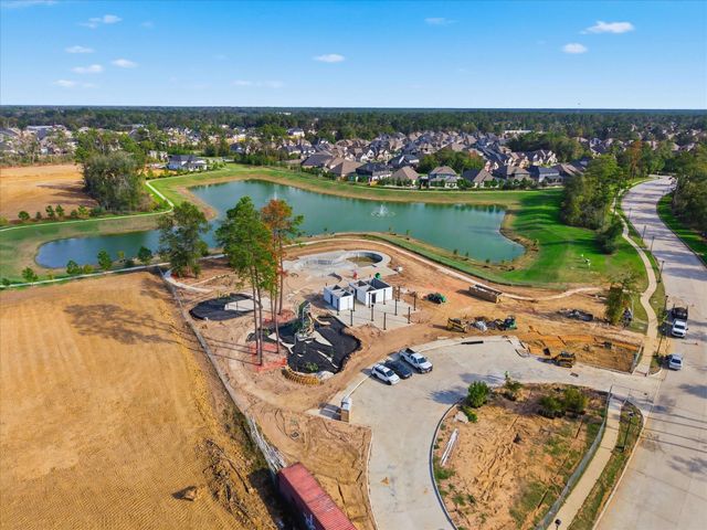 3325 Boxwood Forest Court, Conroe, TX 77301