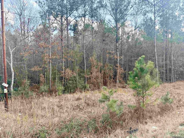 TBD Hwy 1036 Highway, Holden, LA 70744