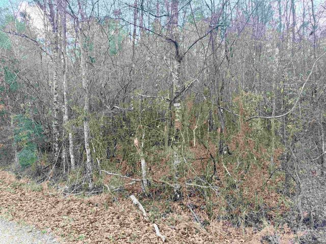TBD Hwy 1036 Highway, Holden, LA 70744