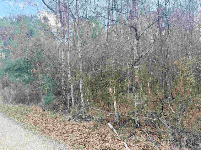 TBD Hwy 1036 Highway, Holden, LA 70744