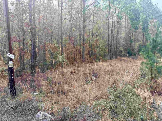 TBD Hwy 1036 Highway, Holden, LA 70744