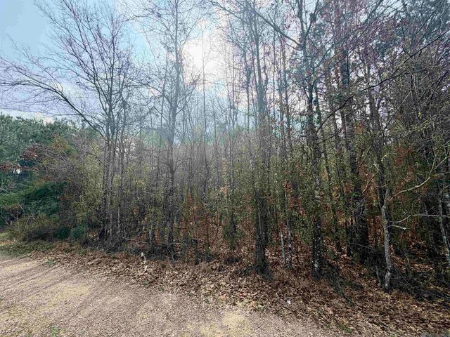 TBD Hwy 1036 Highway, Holden, LA 70744
