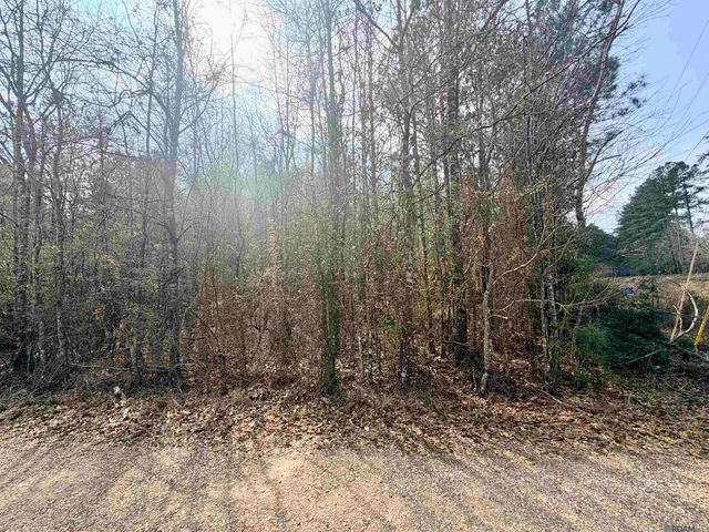 TBD Hwy 1036 Highway, Holden, LA 70744