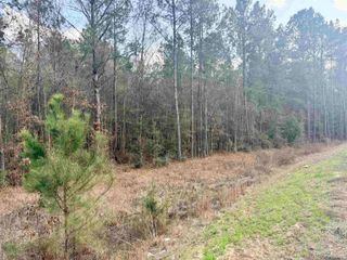 TBD Hwy 1036 Highway, Holden, LA 70744