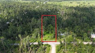 000 NE Blue Springs Church Rd, Lee, FL 32059