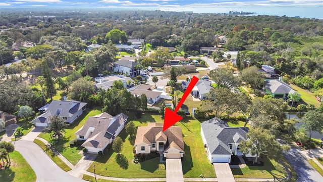 1025 LAKE AVOCA PLACE, Tarpon Springs, FL 34689