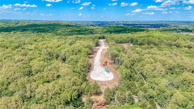 Lot 20 Deer View Estates Road, Holden, MO 64040