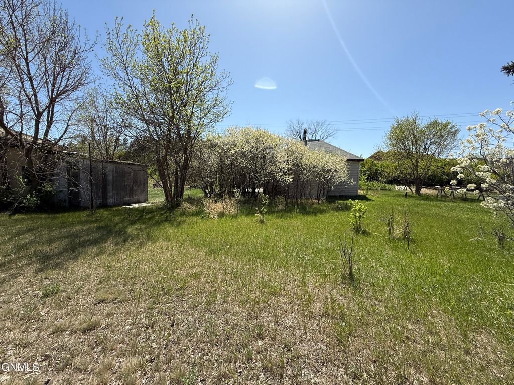 12601 Hwy 52 N, Foxholm, ND 58718 photo 4