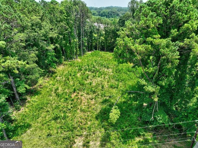 1060 Twin Pines Circle NE, Greensboro, GA 30642