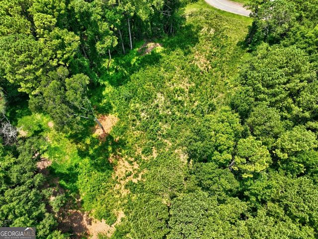 1060 Twin Pines Circle NE, Greensboro, GA 30642