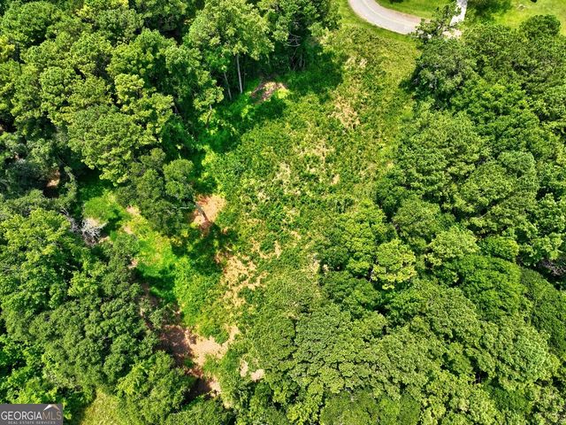 1060 Twin Pines Circle NE, Greensboro, GA 30642