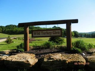 L9 Wild Turkey Lane, Richland Center, WI 53581