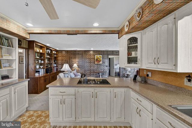 15669 OAKLAND RD, Reva, VA 22735