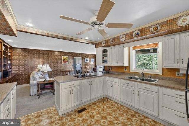 15669 OAKLAND RD, Reva, VA 22735