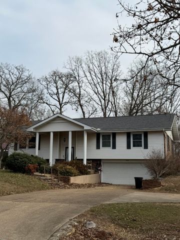 2702 Paula Drive Drive, West Plains, MO 65775