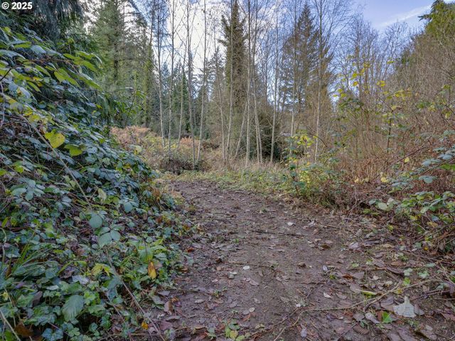 Coalman Rd, Sandy, OR 97055