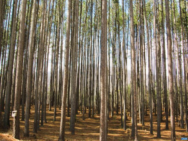 3324 LAUREL RD, Shipman, VA 22971