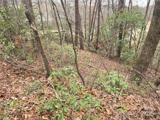 Lot 28 Roundabout Road, Lake Lure, NC 28746