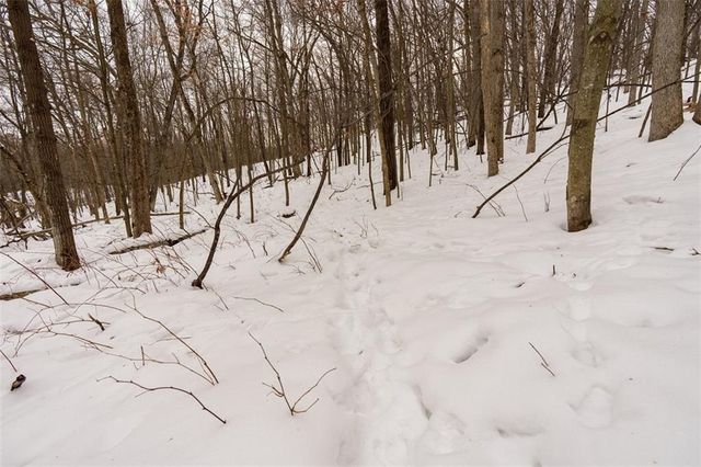 E6783 1090th Avenue, Wheeler, WI 54772