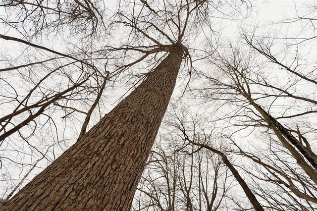 E6783 1090th Avenue, Wheeler, WI 54772