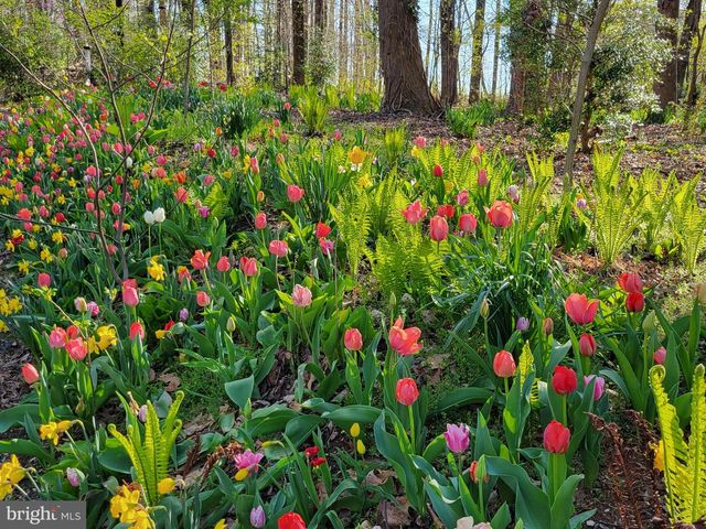 20830 PEACH TREE RD, Dickerson, MD 20842