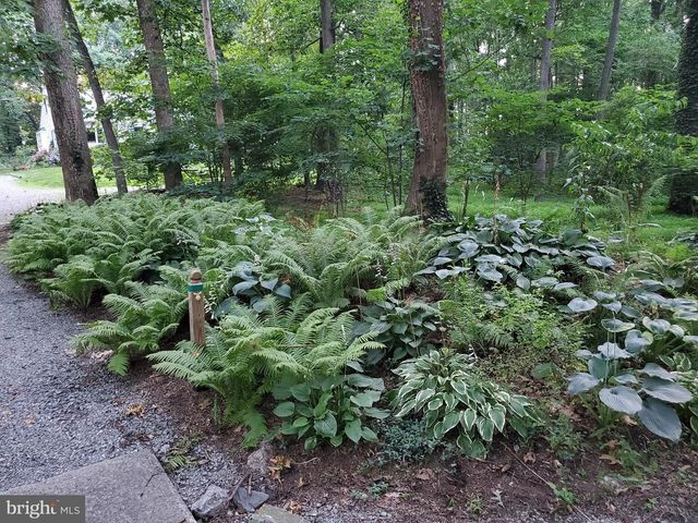 20830 PEACH TREE RD, Dickerson, MD 20842