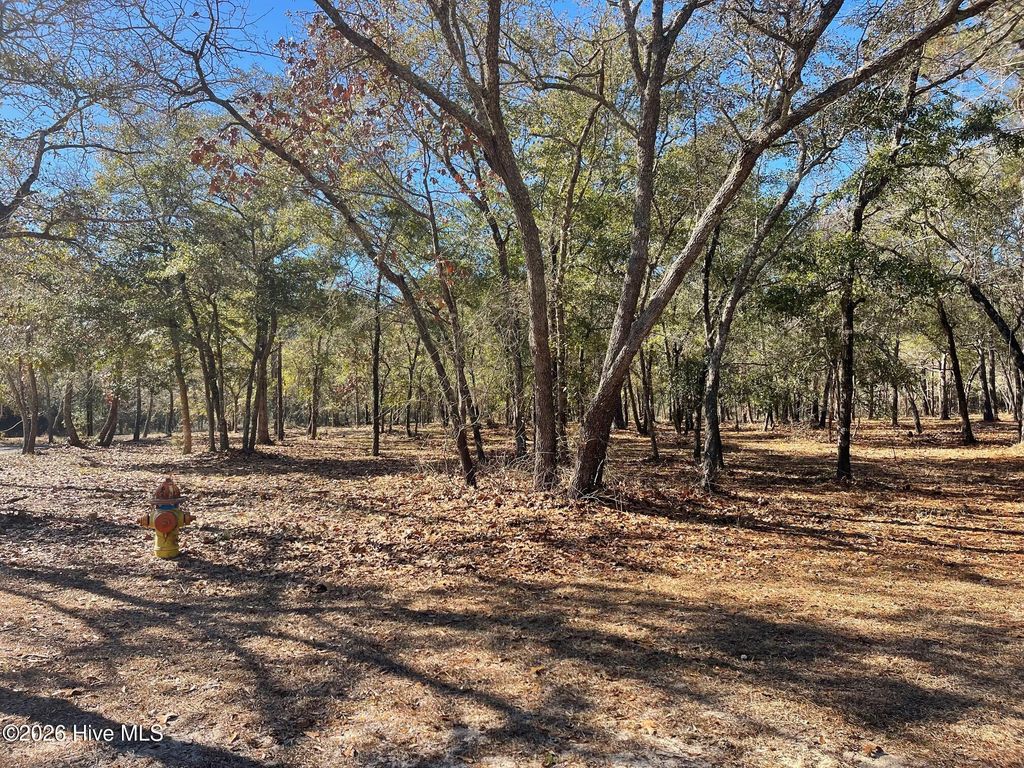 3627 Concordia Avenue SW, Supply, NC 28462