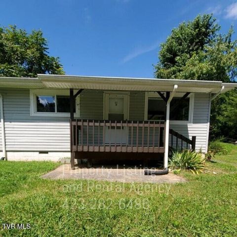 517 Nunley Drive, Johnson City, TN 37604
